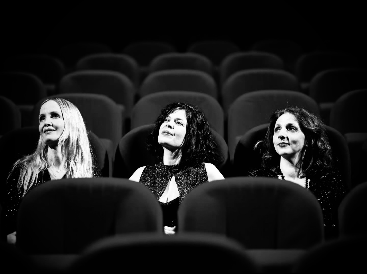 image SWAN Trio Vocal 